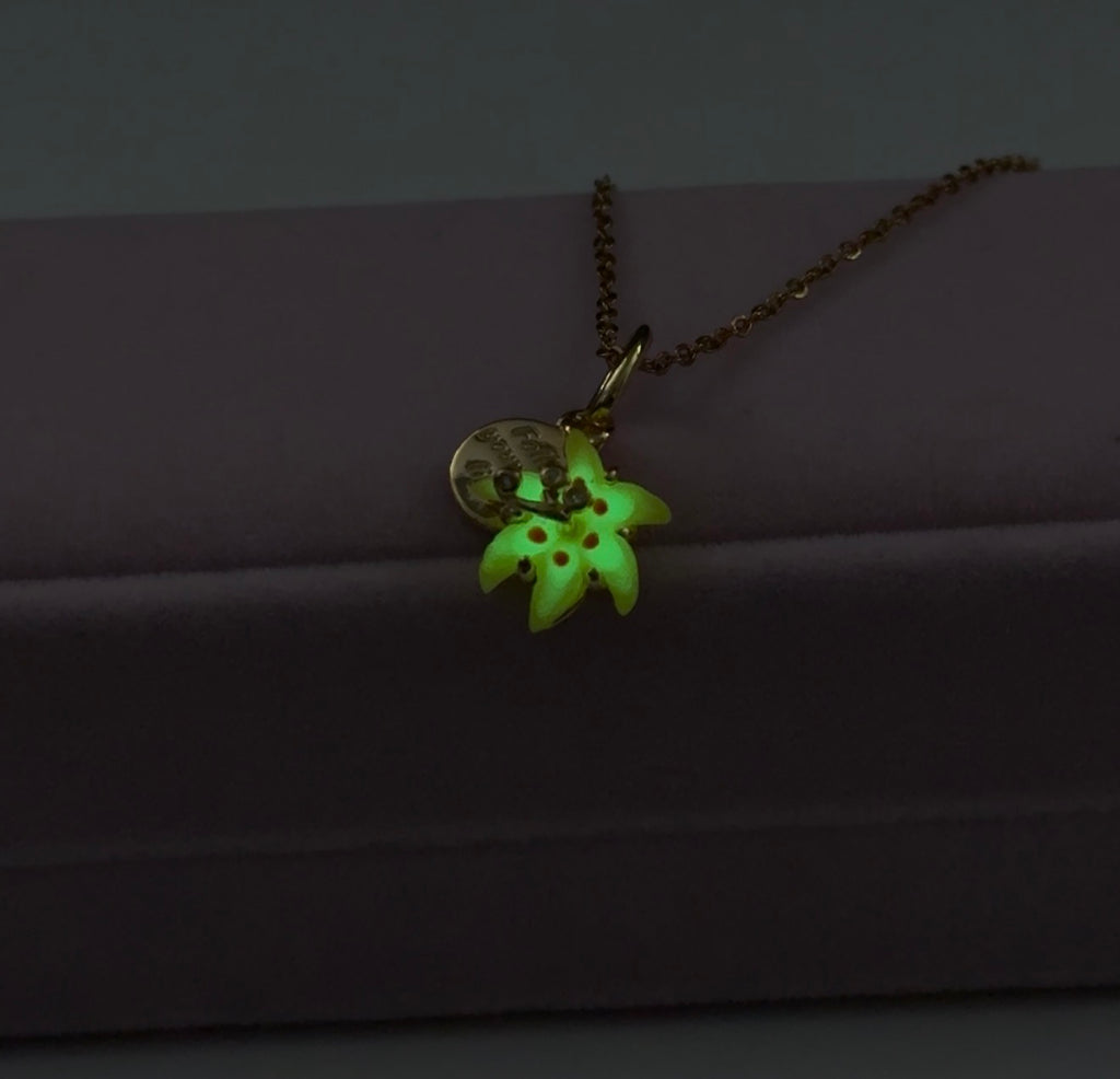 Rapunzel Necklace S925