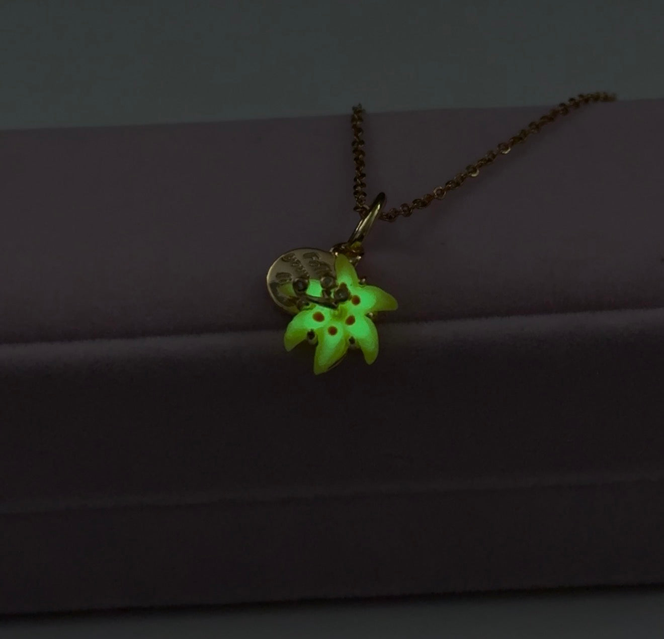 Rapunzel Necklace S925