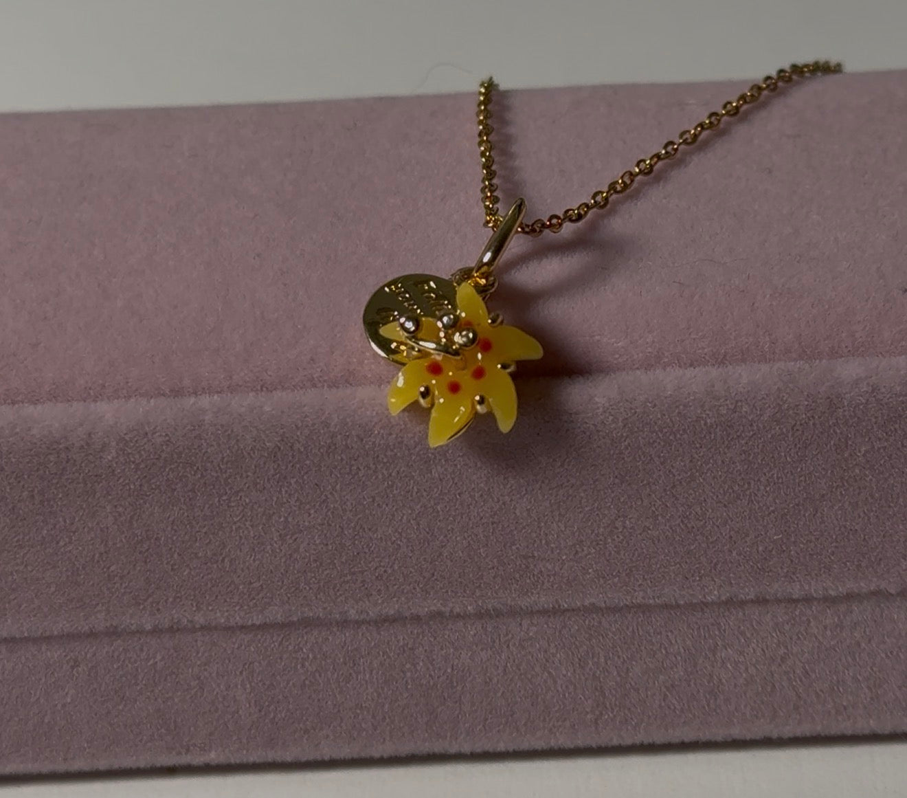 Rapunzel Necklace S925